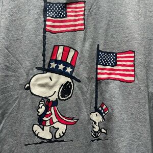 Peanuts x Hybrid Apparel Snoopy Woodstock USA Flags T Shirt Gray Men's Large